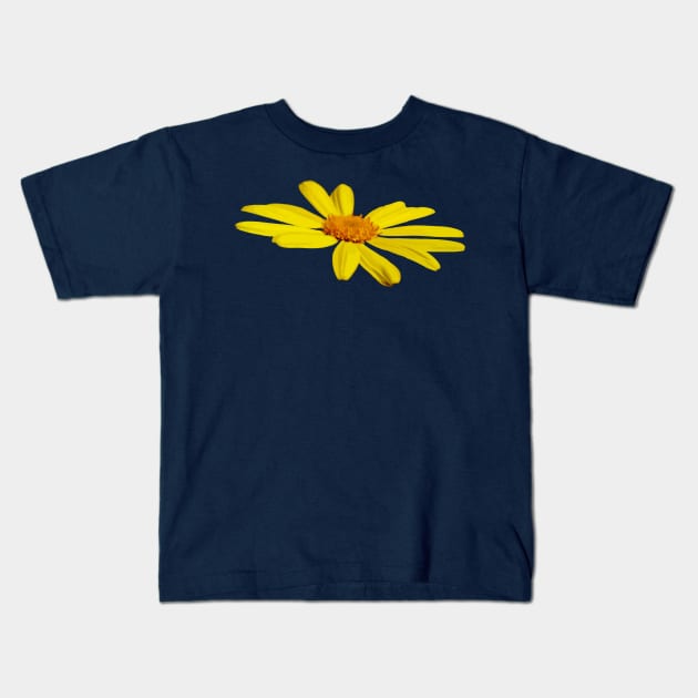 Floating Butterfly Marguerite Daisy Kids T-Shirt by taiche